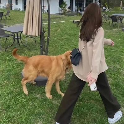血,总是热的